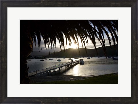 Framed Waikawa Bay, near Picton, Marlborough Sounds, South Island, New Zealand Print