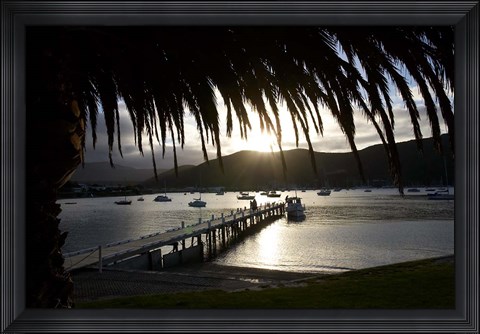 Framed Waikawa Bay, near Picton, Marlborough Sounds, South Island, New Zealand Print