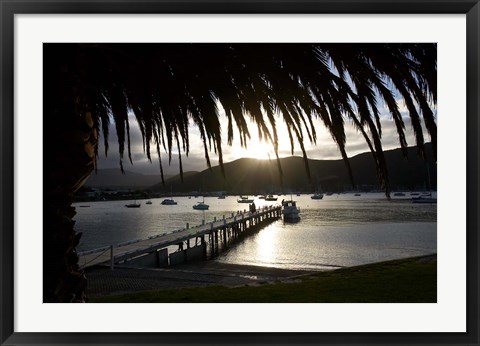 Framed Waikawa Bay, near Picton, Marlborough Sounds, South Island, New Zealand Print