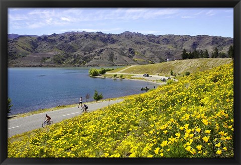 Framed Californian Poppies and Cyclists, Lake Dunstan, South Island, New Zealand Print