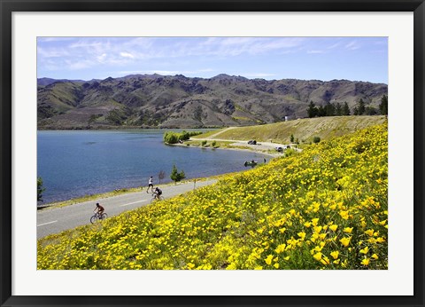 Framed Californian Poppies and Cyclists, Lake Dunstan, South Island, New Zealand Print