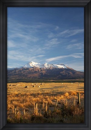Framed Farm Scene, Mt Ruapehu, North Island, New Zealand Print