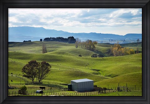 Framed Farmland, Napier, Taihape Road, Hawkes Bay, North Island, New Zealand Print