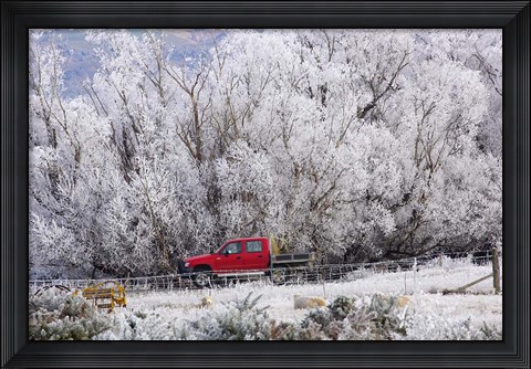 Framed Four Wheel Drive and Hoar Frost, Sutton, Otago, South Island, New Zealand Print