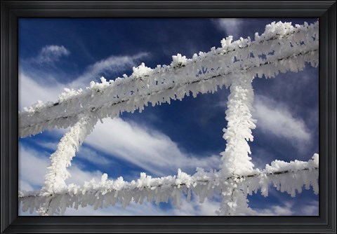 Framed Frosty Wire Fence, Otago, South Island, New Zealand Print