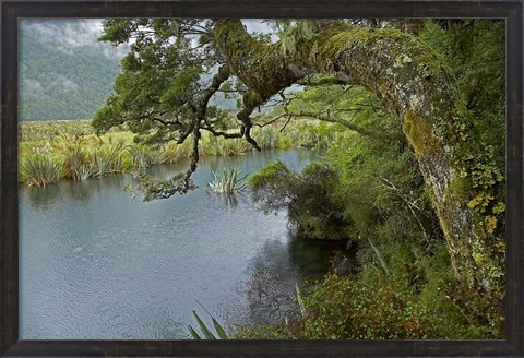 Framed Mirror Lakes, Milford Road, Fiordland, South Island, New Zealand Print