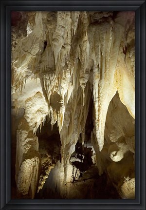 Framed Stalactites, Ruakuri Caves, North Island, New Zealand Print