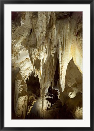 Framed Stalactites, Ruakuri Caves, North Island, New Zealand Print