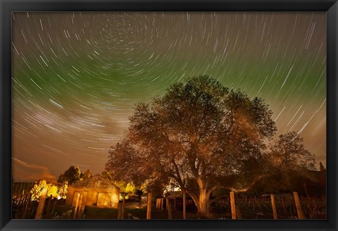 Framed Star Trails Over Walnut Tree, Domain Road Vineyard, Central Otago, South Island, New Zealand Print