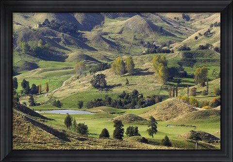 Framed Farmland near Bells Junction, Rangitikei District, Central North Island, New Zealand Print