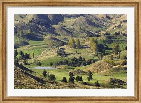 Framed Farmland near Bells Junction, Rangitikei District, Central North Island, New Zealand Print