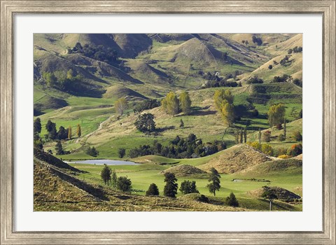 Framed Farmland near Bells Junction, Rangitikei District, Central North Island, New Zealand Print