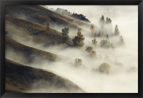 Framed Te Mata Peak, Hawkes Bay, North Island, New Zealand Print