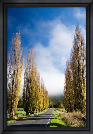 Framed Autumn Colour and Wanganui, Raetihi Road, near Wanganui, North Island, New Zealand Print