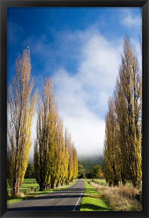 Framed Autumn Colour and Wanganui, Raetihi Road, near Wanganui, North Island, New Zealand Print