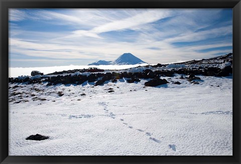 Framed Footsteps in Snow and Mt Ngauruhoe, Tongariro National Park, North Island, New Zealand Print