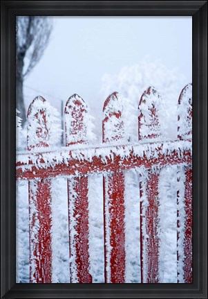 Framed Frost on Gate, Mitchell&#39;s Cottage and Hoar Frost, Fruitlands, near Alexandra, Central Otago, South Island, New Zealand Print