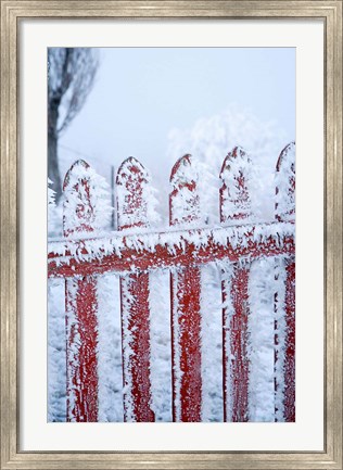 Framed Frost on Gate, Mitchell&#39;s Cottage and Hoar Frost, Fruitlands, near Alexandra, Central Otago, South Island, New Zealand Print