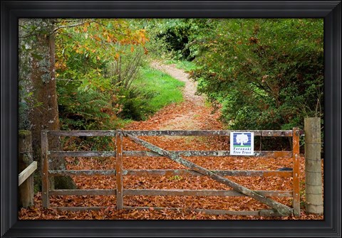 Framed Gate and Oak Leaves, Te Wera Arboretum, Forgotten World Highway, Taranaki, North Island, New Zealand Print