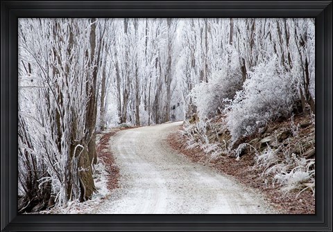 Framed Hoar Frost and Road by Butchers Dam, South Island, New Zealand (horizontal) Print