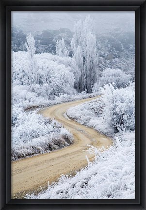 Framed Hoar Frost and Road by Butchers Dam, South Island, New Zealand (vertical) Print