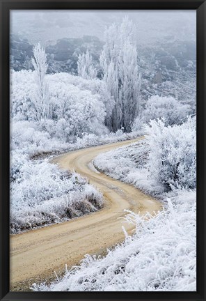 Framed Hoar Frost and Road by Butchers Dam, South Island, New Zealand (vertical) Print