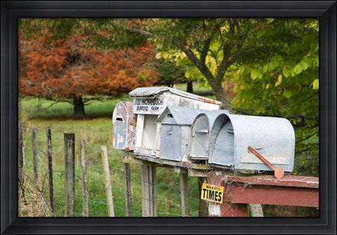 Framed Letterboxes, King Country, North Island, New Zealand Print