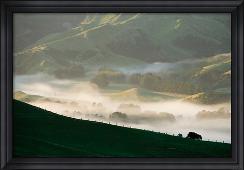 Framed Misty Farmland near Martinborough, Wairarapa, North Island, New Zealand Print