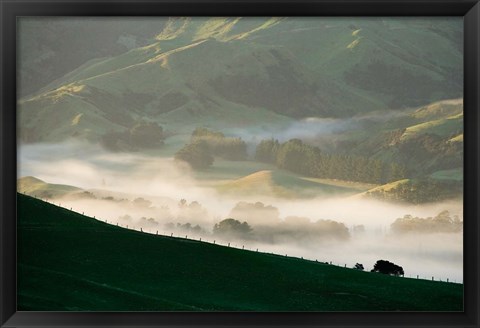 Framed Misty Farmland near Martinborough, Wairarapa, North Island, New Zealand Print