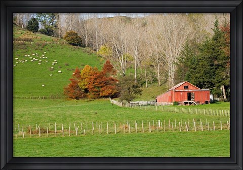 Framed Wool Shed and Farmland, Kawhatau Valley, Rangitikei, North Island, New Zealand Print