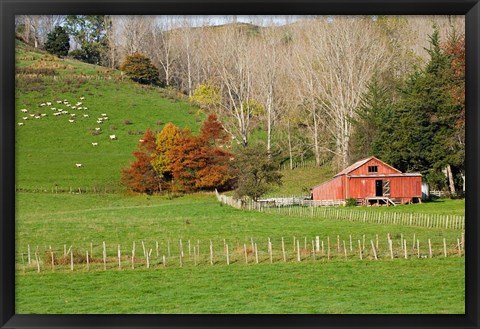 Framed Wool Shed and Farmland, Kawhatau Valley, Rangitikei, North Island, New Zealand Print
