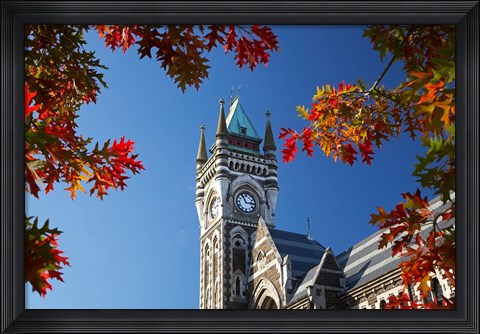 Framed Clock Tower, Dunedin, South Island, New Zealand Print
