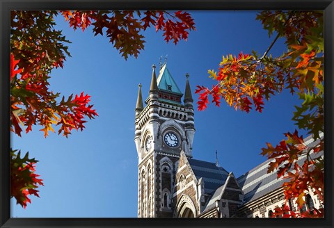 Framed Clock Tower, Dunedin, South Island, New Zealand Print