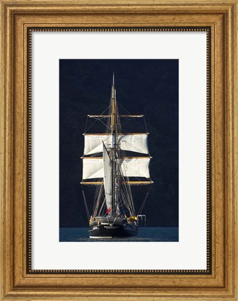 Framed Spirit of New Zealand Tall Ship, Marlborough Sounds, South Island, New Zealand Print