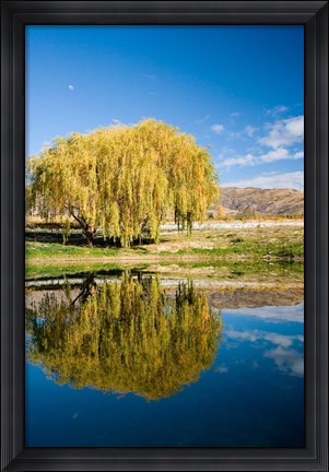 Framed Domain Road Vineyard, Bannockburn, South Island, New Zealand Print
