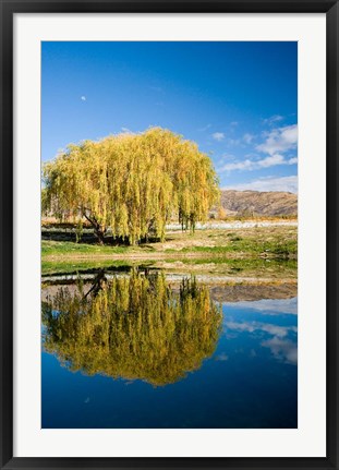 Framed Domain Road Vineyard, Bannockburn, South Island, New Zealand Print
