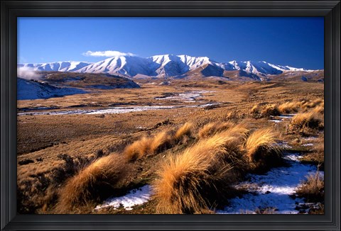 Framed Tussocks and Hawkdun Range, Central Otago, New Zealand Print