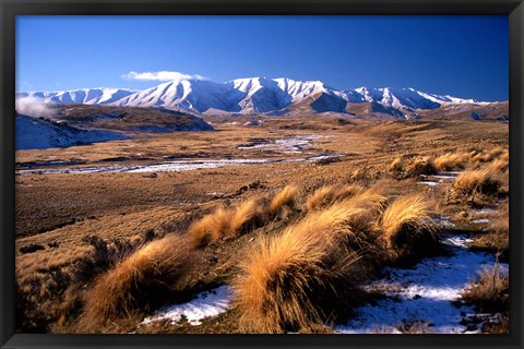Framed Tussocks and Hawkdun Range, Central Otago, New Zealand Print