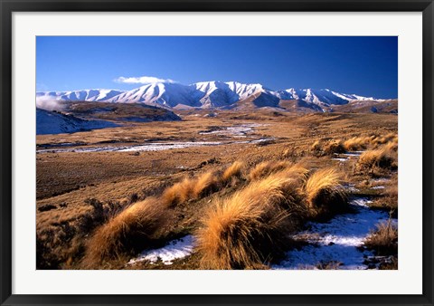 Framed Tussocks and Hawkdun Range, Central Otago, New Zealand Print