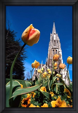 Framed First Church, Dunedin, New Zealand Print