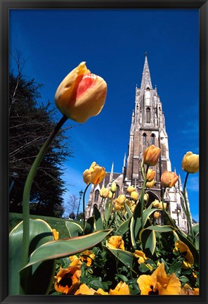 Framed First Church, Dunedin, New Zealand Print
