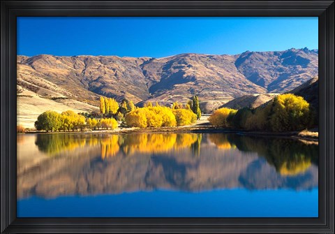 Framed Pisa Range and Lowburn Inlet, Lake Dunstan near Cromwell, Central Otago Print