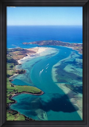 Framed Otago Harbor, Dunedin, New Zealand Print