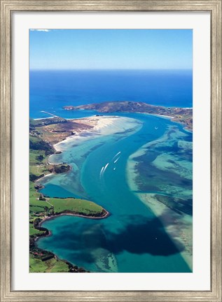 Framed Otago Harbor, Dunedin, New Zealand Print