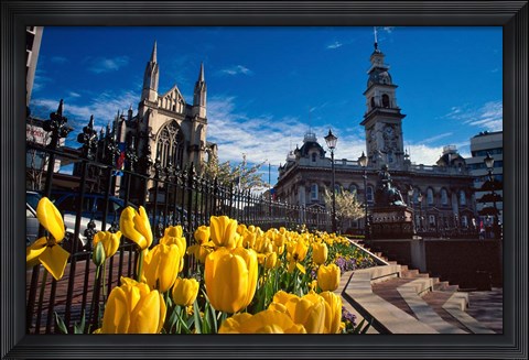 Framed Municipal Chambers and St Pauls, Octagon, Dunedin, New Zealand Print