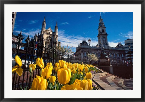 Framed Municipal Chambers and St Pauls, Octagon, Dunedin, New Zealand Print