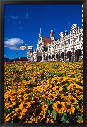 Framed Historic Railway Station and field of flowers, Dunedin, New Zealand Print