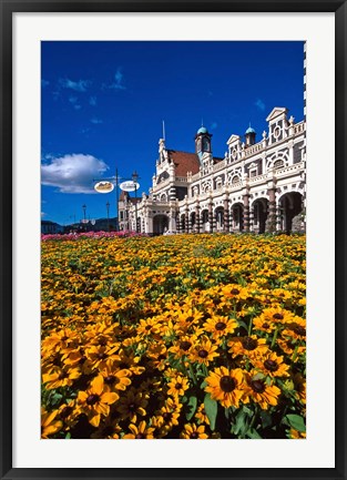 Framed Historic Railway Station and field of flowers, Dunedin, New Zealand Print