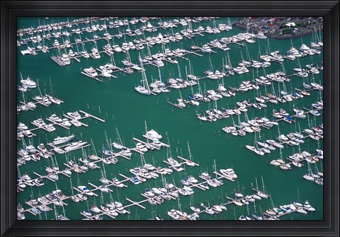 Framed Westhaven Marina, Waitemata Harbor, Auckland Print