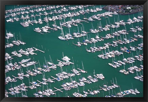 Framed Westhaven Marina, Waitemata Harbor, Auckland Print